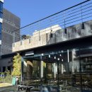 (주)롯데하이마트 오리지점 | 청담 점심 맛집 코스로 즐긴 북경오리! 중식당 모임장소 js가든 청담점