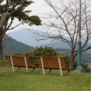 효도 권장비 이미지