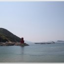 Green25 이미지