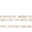 아이비프라임