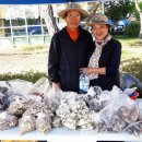 치성농장 이미지