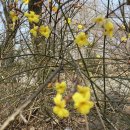 열린점자작은도서관 이미지