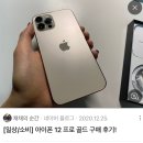 아이폰 프로 골드색상 왜 이제 안내주는거임 이미지