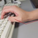 레스트44 | 제닉스 엑스팜 월넛 손목 받침대 풀키 키보드 팜레스트 사무실 직장인 실제 사용 후기