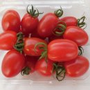 Re:전환유기재배 대추방울토마토 판매합니다. 이미지