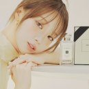 와일드슬롯PC 이미지