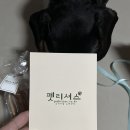 펫리셔스(petlicious) 이미지