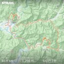 세븐일레븐 삼척정상점 | 로드새싹 참교육의 현장! 영월 투어라이딩, 별마로-수라리재-예밀리재