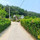 대전시 매노동 전원주택 매매(면적 856.1㎡, 매 4억5천) 이미지