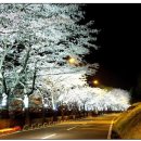 직지사길 이미지