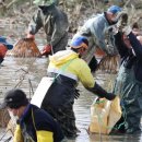 가래치기 이미지