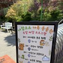 아침고요 | [여행] 가평 아침고요가족동물원 방문 후기