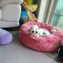 해밀예당3로 37 이미지