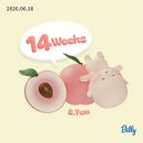 슈즈타운LaMer | 임신 12주-16주 일기(먹덧 시작, 눈물 주륵주륵, 1•2차 기형아 검사,퀸즈파크 초음파, 해동용궁사 득남...