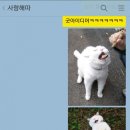 굿아이디어 이미지