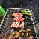 서울대공원 캠핑장 | 서울대공원 캠핑장 피크닉 바베큐 후기 (예약방법, 가격, 주차, 카트, 자리추천)