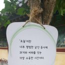 서대전속편한내과의원 네이버블로그