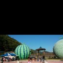 영제시조 이미지