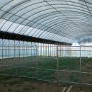 강변농장 이미지