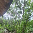 계명산자연휴양림 이미지