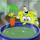 집게리아 이미지