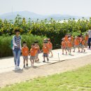 고기와면 이미지