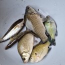 파로호로 이미지