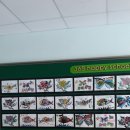 순천향림초등학교 이미지