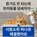 환기도 안 되는데 반려동물 냄새까지… 시원소취 하나로 해결했어요
