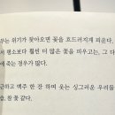 사적인사과 지적인수박
