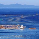 남해황토가 이미지