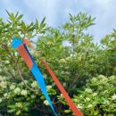 산이물공원 이미지