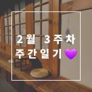 바브루 (Babru) | 2월 3주 차 주간 일기💜