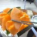 락플하비카페 | 성심당 한통멜론 멜론케이크 망고와락 주말방문 웨이팅 솔직후기