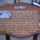 [부산여행]영도다리를 바라보며 다시 날 날을 기약했던 40계단 이미지