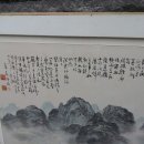 백포 이미지