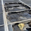 지혜태양광 이미지