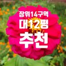 뉴예성 이미지