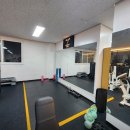 디에스짐 이미지