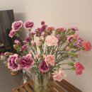 번창목장 이미지