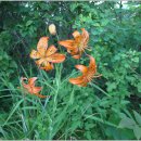 신천중학교 이미지