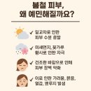 미본피부
