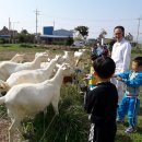 산양병설유치원 이미지