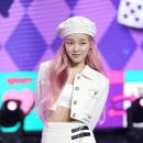 핑크헤어 이미지