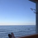 트라제5 | 경주 감포 풀빌라 펜션 감포트라제 가성비 좋은 감포 숙소 오션뷰