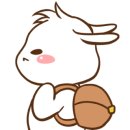 금화백숙 이미지