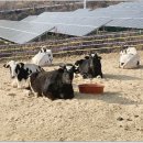 달뜨는마을 이미지