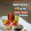 입동과 대설사이에 있는 소설입니다. 이미지