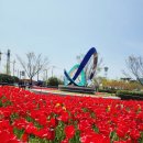 목포 유달산 봄 축제 후기(ft. 삼학도 공원 튤립 개화현황 및 주차)