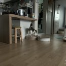 여주-0928 | 망원동 상실이네+1320 발목골절수술 590일, 핀제거수술 63일 재활로 시작하는 추석연휴 그리고 리프레쉬`!